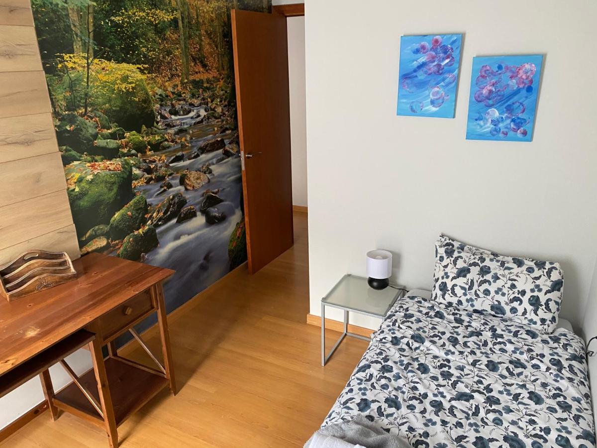 Ferienwohnung Duplex Roca Del Sucut Ribes De Freser Exterior foto